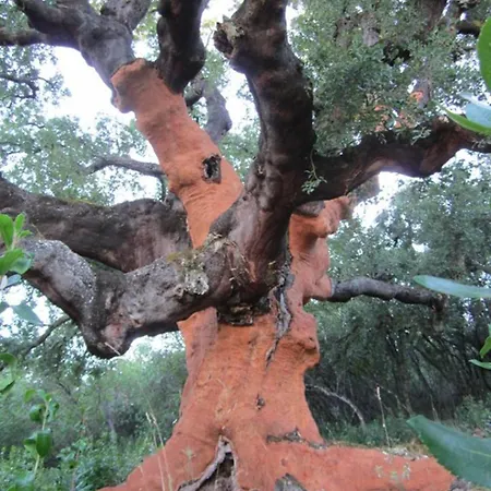 Casa Macías Casa de Férias *